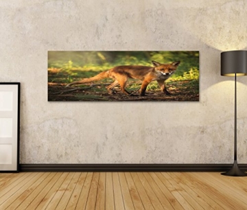 islandburner Bild Bilder auf Leinwand junger Fuchs im Wald Poster, Leinwandbild, Wandbilder - 2