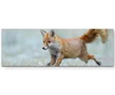 Paul Sinus Art Leinwandbilder | Bilder Leinwand 120x40cm rennender Fuchs - 1