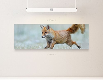 Paul Sinus Art Leinwandbilder | Bilder Leinwand 120x40cm rennender Fuchs - 2