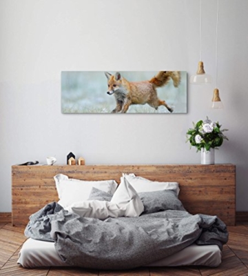 Paul Sinus Art Leinwandbilder | Bilder Leinwand 120x40cm rennender Fuchs - 4