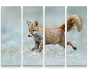 Paul Sinus Art Leinwandbilder | Bilder Leinwand 130x90cm 4 Teile rennender Fuchs - 1