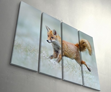 Paul Sinus Art Leinwandbilder | Bilder Leinwand 130x90cm 4 Teile rennender Fuchs - 7