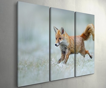 Paul Sinus Art Leinwandbilder | Bilder Leinwand 130x90cm rennender Fuchs - 3