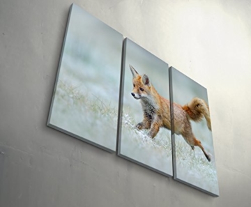 Paul Sinus Art Leinwandbilder | Bilder Leinwand 130x90cm rennender Fuchs - 8