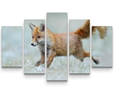 Paul Sinus Art Leinwandbilder | Bilder Leinwand 160x100cm rennender Fuchs - 1