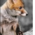 schöner junger Fuchs schwarz/weiß, Format: 60x80 auf hochkantiges Leinwand, XXL riesige Bilder fertig gerahmt mit Keilrahmen, Kunstdruck auf Wandbild mit Rahmen, günstiger als Gemälde oder Ölbild, kein Poster oder Plakat - 1