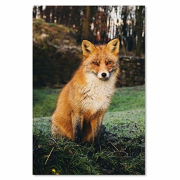 Wandbild Fuchs Kunstdruck Art Leinwandbild Tier Natur Braun 60x90 cm - 2